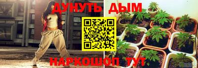 сатива Краснодар