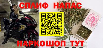 сатива Краснодар