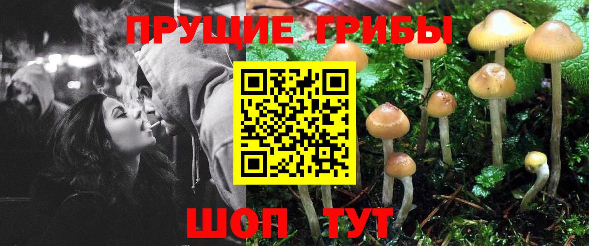 купить закладку  Вход с VPN  Кольчугино  Галлюциногенные грибы мицелий 