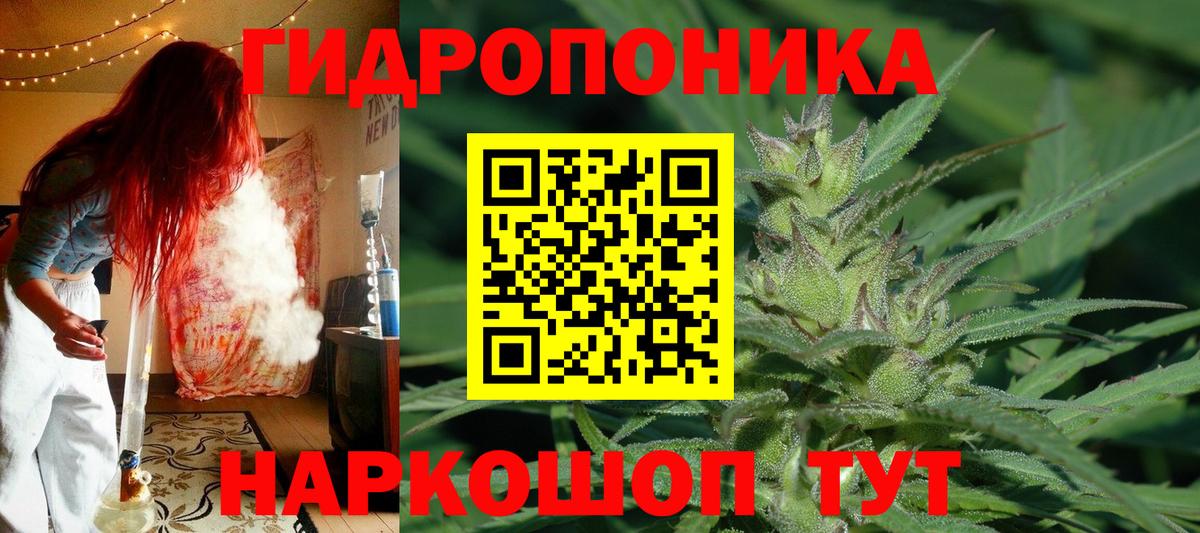 Марихуана семена Кольчугино